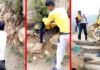 पौड़ी गढ़वाल : शराब के नशे में युवक को कोबरा सांप से पंगा लेना पड़ा महंगा, डसने से हुई मौत, देखें वीडियो drunk man dies due to cobra snake bites