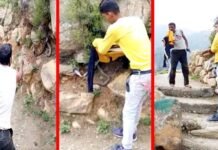 पौड़ी गढ़वाल : शराब के नशे में युवक को कोबरा सांप से पंगा लेना पड़ा महंगा, डसने से हुई मौत, देखें वीडियो drunk man dies due to cobra snake bites