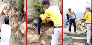 पौड़ी गढ़वाल : शराब के नशे में युवक को कोबरा सांप से पंगा लेना पड़ा महंगा, डसने से हुई मौत, देखें वीडियो drunk man dies due to cobra snake bites