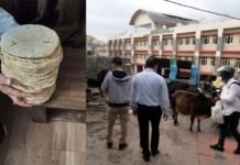 कोरोना संकट काल में बेजुबान पशुओं को भोजन करा रहे हैं पौड़ी नगर के समाजसेवी gau-seva