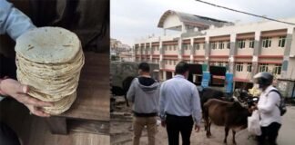 कोरोना संकट काल में बेजुबान पशुओं को भोजन करा रहे हैं पौड़ी नगर के समाजसेवी gau-seva