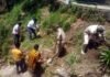 पोखड़ा वन विभाग और विकास खंड कार्यालय ने मनाया पर्यावरण दिवस Environment Day