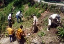 पोखड़ा वन विभाग और विकास खंड कार्यालय ने मनाया पर्यावरण दिवस Environment Day