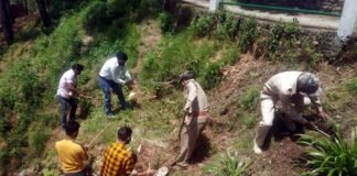 पोखड़ा वन विभाग और विकास खंड कार्यालय ने मनाया पर्यावरण दिवस Environment Day