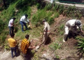 पोखड़ा वन विभाग और विकास खंड कार्यालय ने मनाया पर्यावरण दिवस Environment Day