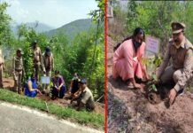 विश्व पर्यावरण दिवस पर वन रेंज सतपुली में किया गया पौधरोपण Plantation done in Forest Range Satpuli on World Environment Day
