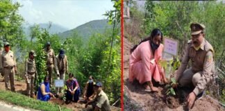 विश्व पर्यावरण दिवस पर वन रेंज सतपुली में किया गया पौधरोपण Plantation done in Forest Range Satpuli on World Environment Day