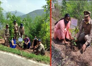 विश्व पर्यावरण दिवस पर वन रेंज सतपुली में किया गया पौधरोपण Plantation done in Forest Range Satpuli on World Environment Day