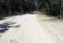 उत्तराखंड : लालढांग-चिल्लरखाल वन मोटर मार्ग को राष्ट्रीय वन्यजीव बोर्ड की मंजूरी, वन्य जीवों के गुजरने को बनेगा एलिवेटेड एनिमल पुल Laldhang-Chillarkhal forest motorway