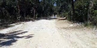 उत्तराखंड : लालढांग-चिल्लरखाल वन मोटर मार्ग को राष्ट्रीय वन्यजीव बोर्ड की मंजूरी, वन्य जीवों के गुजरने को बनेगा एलिवेटेड एनिमल पुल Laldhang-Chillarkhal forest motorway