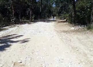उत्तराखंड : लालढांग-चिल्लरखाल वन मोटर मार्ग को राष्ट्रीय वन्यजीव बोर्ड की मंजूरी, वन्य जीवों के गुजरने को बनेगा एलिवेटेड एनिमल पुल Laldhang-Chillarkhal forest motorway
