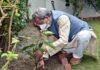 विश्व पर्यावरण दिवस पर सीएम तीरथ ने लगाया जामुन का पेड़, राज्य में क्लाइमेट बजटिंग को लेकर की ये घोषणा CM Tirath planted a tree at his residence
