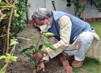 विश्व पर्यावरण दिवस पर सीएम तीरथ ने लगाया जामुन का पेड़, राज्य में क्लाइमेट बजटिंग को लेकर की ये घोषणा CM Tirath planted a tree at his residence