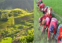 उत्तराखंड : एक गाँव ऐसा भी जहाँ से आज तक नहीं हुआ एक भी परिवार का पलायन, खेती से जुड़ा है हर परिवार, मिल चुका है राष्ट्रीय गौरव ग्रामसभा पुरस्कार diyadi-village-uttarkashi