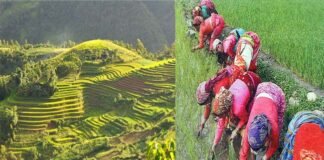 उत्तराखंड : एक गाँव ऐसा भी जहाँ से आज तक नहीं हुआ एक भी परिवार का पलायन, खेती से जुड़ा है हर परिवार, मिल चुका है राष्ट्रीय गौरव ग्रामसभा पुरस्कार diyadi-village-uttarkashi