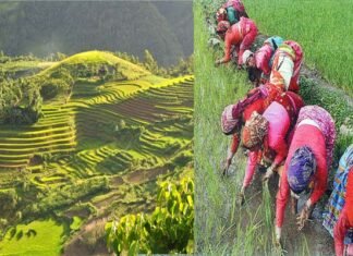उत्तराखंड : एक गाँव ऐसा भी जहाँ से आज तक नहीं हुआ एक भी परिवार का पलायन, खेती से जुड़ा है हर परिवार, मिल चुका है राष्ट्रीय गौरव ग्रामसभा पुरस्कार diyadi-village-uttarkashi