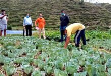 पौड़ी जिलाधिकारी ने डुंगरी व कंडारा गांवों का भ्रमण कर इंटीग्रेटेड फार्मिंग का लिया जायजा Integrated Farming