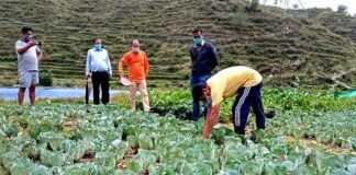पौड़ी जिलाधिकारी ने डुंगरी व कंडारा गांवों का भ्रमण कर इंटीग्रेटेड फार्मिंग का लिया जायजा Integrated Farming
