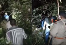 उत्तराखंड : घर के आंगन में बर्तन धो रही महिला को उठा ले गया तेंदुआ, जंगल से मिला छत-विक्षत शव Leopard killed the woman in Chham village of Devprayag tehri garhwal