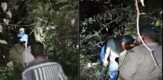 उत्तराखंड : घर के आंगन में बर्तन धो रही महिला को उठा ले गया तेंदुआ, जंगल से मिला छत-विक्षत शव Leopard killed the woman in Chham village of Devprayag tehri garhwal