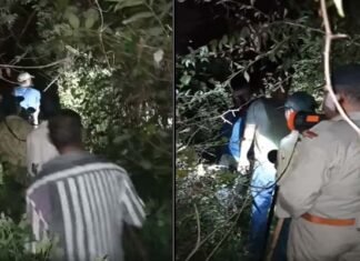 उत्तराखंड : घर के आंगन में बर्तन धो रही महिला को उठा ले गया तेंदुआ, जंगल से मिला छत-विक्षत शव Leopard killed the woman in Chham village of Devprayag tehri garhwal