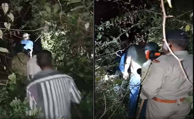 Leopard-killed-the-woman-in Leopard killed the woman in Chham village of Devprayag tehri garhwal