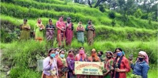 वृक्षारोपण कार्यक्रम के तहत लगाए गए फलदार व छायादार पौधे Plantation program in Veena Talla