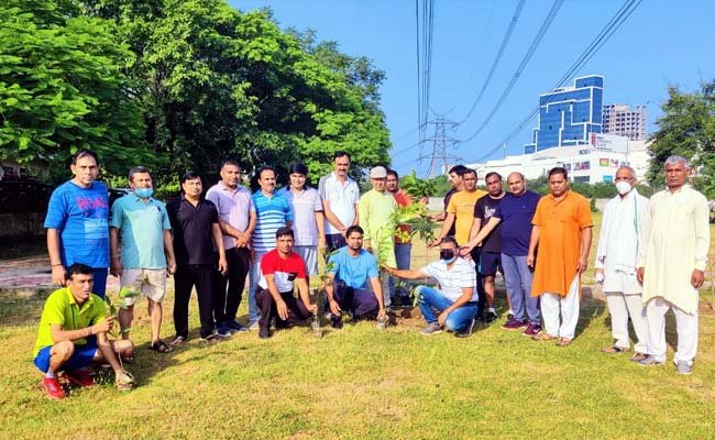 Plantation-at-various-place