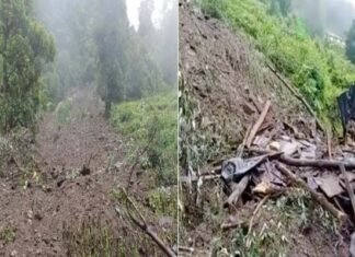 उत्तराखंड : मूसलाधार बारिश का कहर, पहाड़ से गिरे मलबे से ढहा मकान, अंदर सो रहे तीन लोगों की दबने से हुई मौत bageshwar-house-collapsed