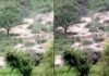 उत्तरकाशी के बाद अब टिहरी में भी फटा बादल, मलबे दबे कई घर cloud-burst-in-tehri