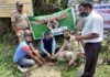 हरेला दिवस पर कल्जीखाल ब्लॉक परिसर में पौधा लगाकर धूमधाम से मनाया गया लोकपर्व हरेला Lokparv Harela celebrated with pomp in Kaljikhal block premises