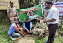 हरेला दिवस पर कल्जीखाल ब्लॉक परिसर में पौधा लगाकर धूमधाम से मनाया गया लोकपर्व हरेला Lokparv Harela celebrated with pomp in Kaljikhal block premises