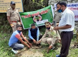 हरेला दिवस पर कल्जीखाल ब्लॉक परिसर में पौधा लगाकर धूमधाम से मनाया गया लोकपर्व हरेला Lokparv Harela celebrated with pomp in Kaljikhal block premises