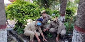 हरेला पर्व पर सतपुली थाना परिसर में किया गया वृक्षारोपण