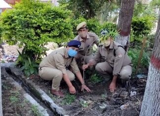 हरेला पर्व पर सतपुली थाना परिसर में किया गया वृक्षारोपण