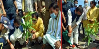 मुख्यमंत्री पुष्कर सिंह धामी ने जौलीग्रांट में किया वृक्षारोपण, पर्यावरण संरक्षण के साथ ही हमारी सांस्कृतिक परंपरा का प्रतीक हरेला harela-parv-2021
