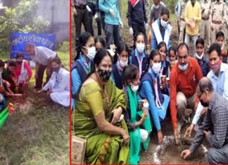 प्रकृति को समर्पित उत्तराखण्ड के लोक पर्व “हरेला” पर वृक्षारोपण कार्यक्रम harela-plantation