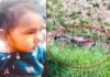 उत्तराखंड : आंगन में खेल रही डेढ़ साल की बच्ची को मुंह में दबाकर ले गया गुलदार, जंगल से शव बरामद leopard killed minor girl