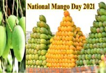 राष्ट्रीय आम दिवस : अपने अलग-अलग स्वाद से मैंगो बना लोगों का पसंदीदा फल, जानें इसका इतिहास और खूबियां nation-mango-day-2021