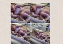 कोटद्वार: नव विवाहिता ने नवजात को फेंका झाडियों में, ससुर की तहरीर पर मुकदमा दर्ज new-born-baby-threw-in-the-bush