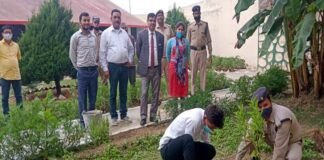 हरेला पर्व पर जिला कारागार पौड़ी में किया गया वृक्षारोपण pauri-district-jail