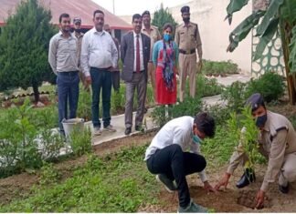 हरेला पर्व पर जिला कारागार पौड़ी में किया गया वृक्षारोपण pauri-district-jail
