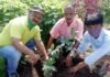 स्वामी सत्यमित्रानन्द गिरी इंटर कॉलेज हरिपुरकलॉ में पौधरोपण कर मनाया लोक पर्व हरेला
