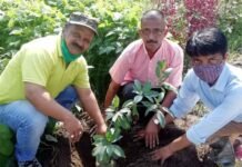 स्वामी सत्यमित्रानन्द गिरी इंटर कॉलेज हरिपुरकलॉ में पौधरोपण कर मनाया लोक पर्व हरेला