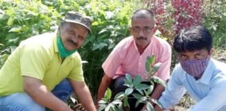 स्वामी सत्यमित्रानन्द गिरी इंटर कॉलेज हरिपुरकलॉ में पौधरोपण कर मनाया लोक पर्व हरेला