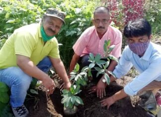 स्वामी सत्यमित्रानन्द गिरी इंटर कॉलेज हरिपुरकलॉ में पौधरोपण कर मनाया लोक पर्व हरेला