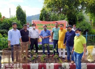 पुरानी पेंशन बहाली मोर्चा श्रीनगर शाखा द्वारा वृहद वृक्षारोपण कार्यक्रम Tree Plantation Program by Old Pension Restoration Front Srinagar Branch