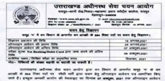 उत्तराखंड: सीएम धामी ने फिर सरकारी नौकरियों का खोला पिटारा, वन विभाग में निकाली 894 भर्तियां 894 vacancies in-Forest-Department-Uttarakhand