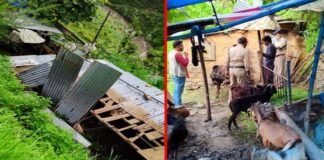 पौड़ी गढ़वाल : भारी बारिश से गिरी गौशाला की दीवार, पुलिस ने चलाया राहत एवं बचाव अभियान Gaushala-wall-fell