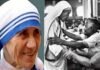 जन्मदिन विशेष : दीन-दुखियों और बेसहारा लोगों के लिए मदर टेरेसा का पूरा जीवन रहा समर्पित mother-teresa
